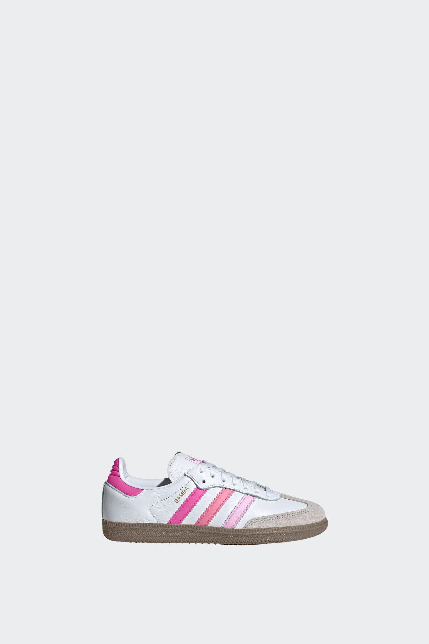 SAMBA OG GS Sesinko SAMBA OG GS Sesinko