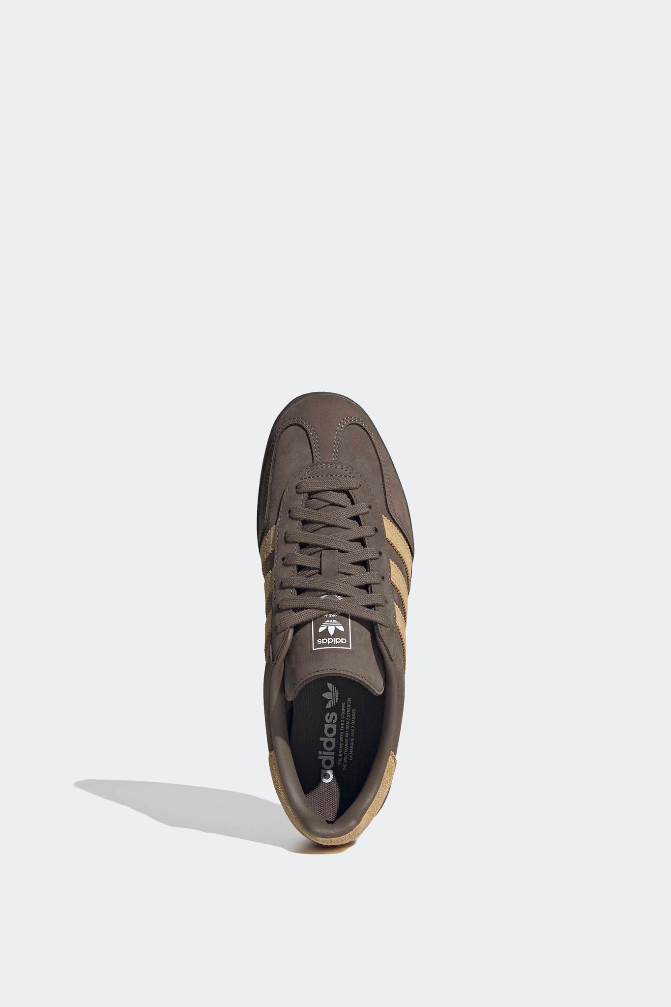 GAZELLE INDOOR