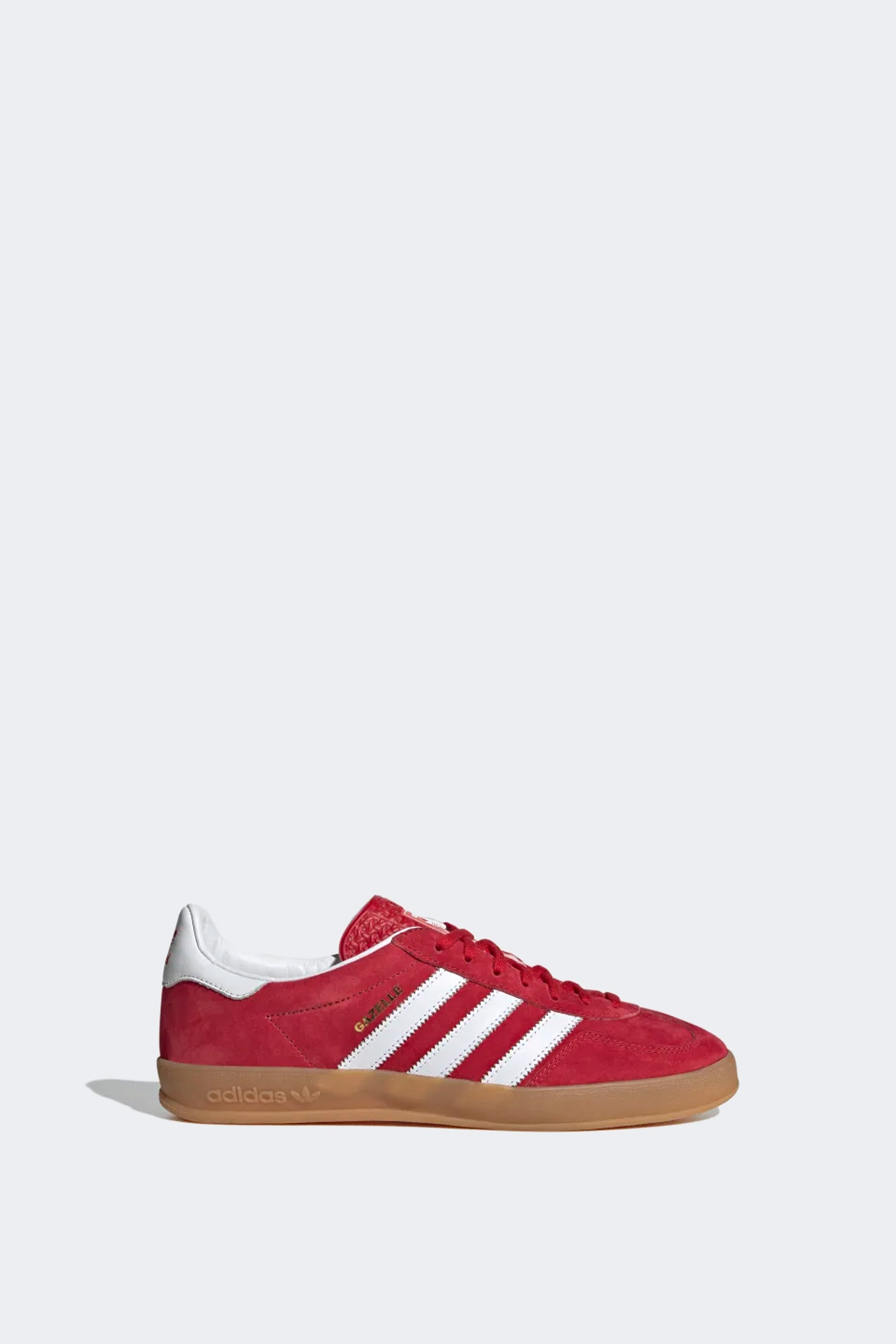 GAZELLE INDOOR – Sesinko
