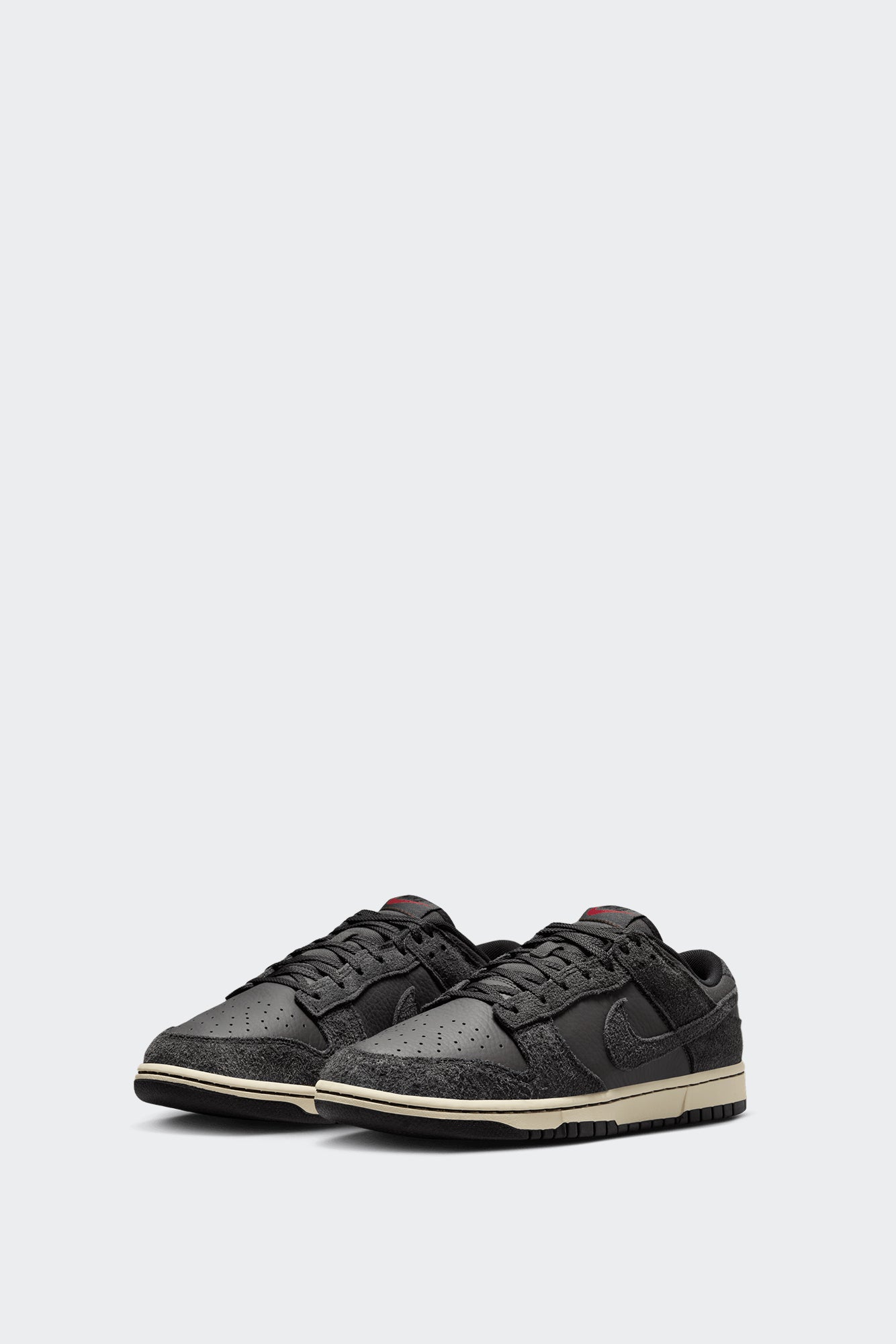 DUNK LOW RETRO PREMIUM