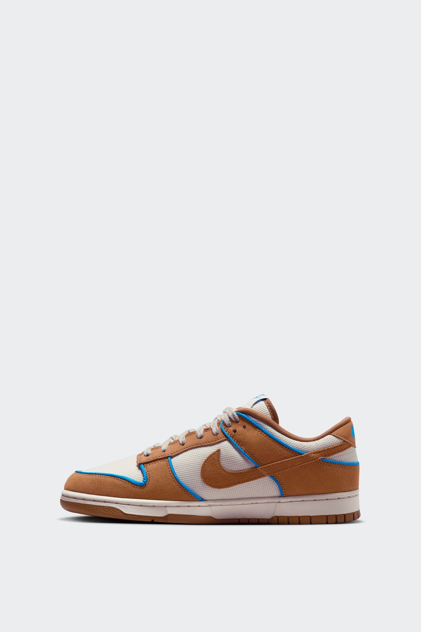 DUNK LOW RETRO PREMIUM