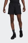 ACG SHORTS