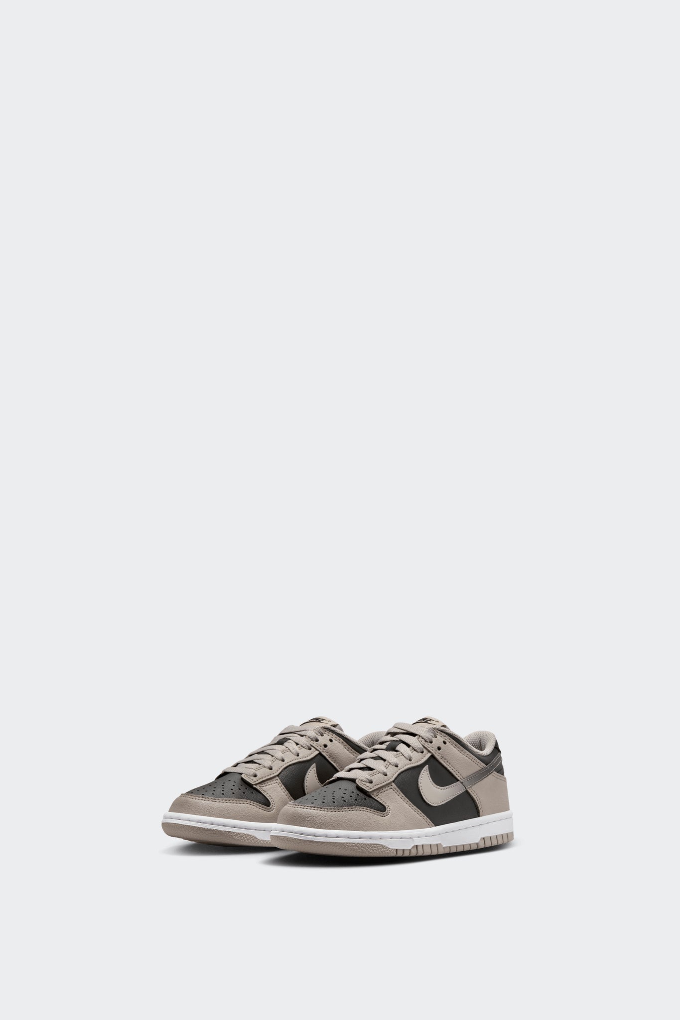 DUNK LOW GS