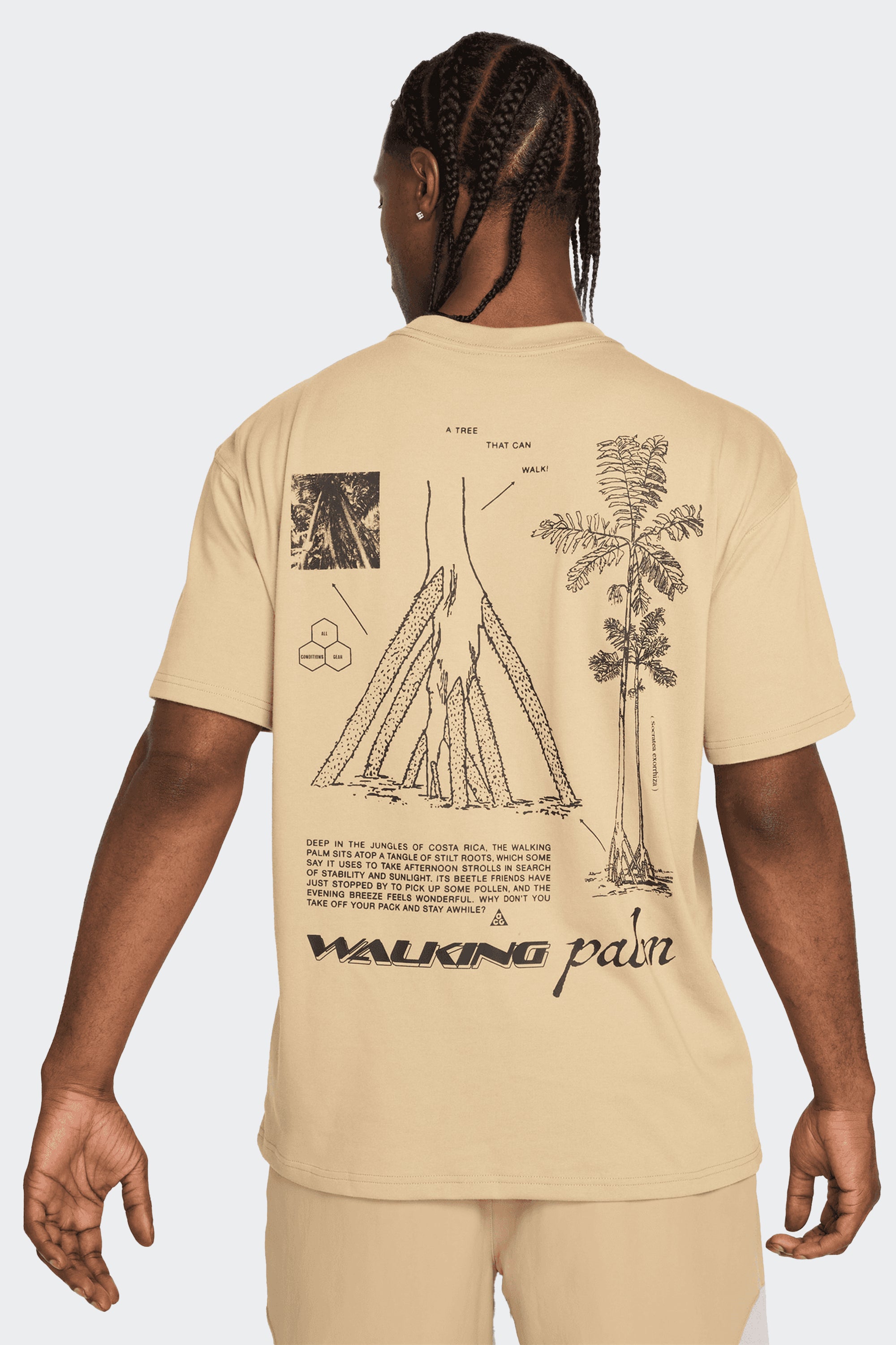 ACG TEE – Sesinko